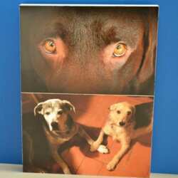 Cadre en pvc light et  impression autoporteur